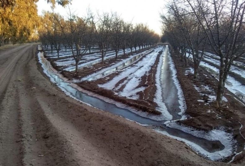 Heladas, congelado