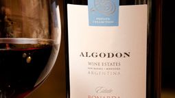 Algodon lanza nueva línea de vinos