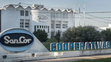 crisis de las economias regionales, sancor logra frenar un inedito remate