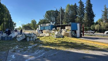 Accidente vial: por una falla mecánica, volcó un camión que transportaba la cosecha de uva Accidente vial: por una falla mecánica, volcó un camión que transportaba la cosecha de uva