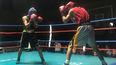 Noches de boxeo en Malargüe.