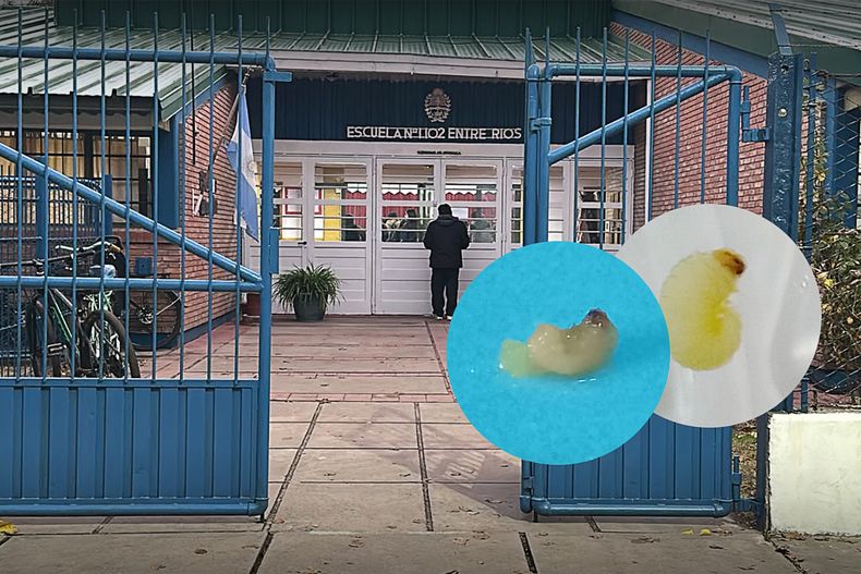 Padres exigen respuestas tras encontrar gusanos en alimentos de una escuela de General Alvear.