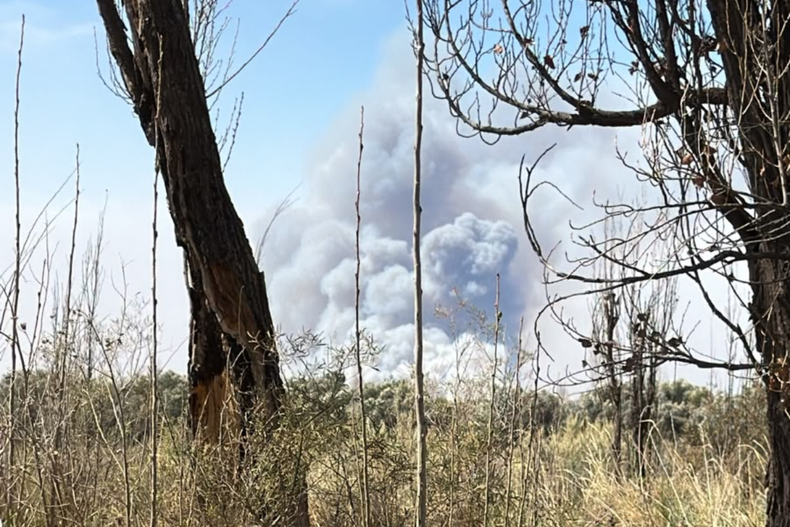 La quema que comenzó de manera controlada terminó provocando un incendio de gran magnitud en San Rafael.