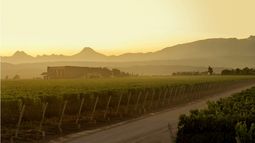 Séptima lanza su ciclo Atardeceres