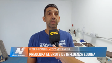 Encefalomielitis equinas: desde febrero la vacuna será obligatoria