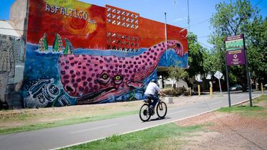 Sitio Andino | Murales 2019