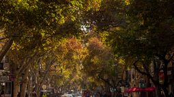 Ascenso de la temperatura, el pronóstico del tiempo este miércoles 21 de mayo
