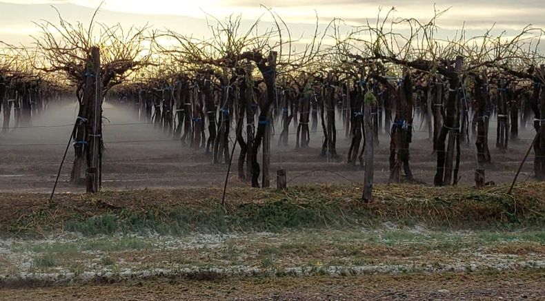 El fondo busca proteger de daños climáticos a los productores agrícolas 