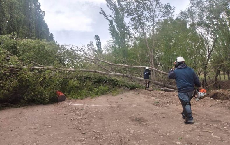 Consecuencias del viento (Foto gentileza Defensa Civil Malargüe).