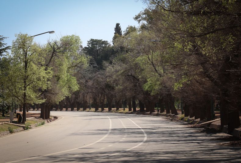 Vuelta a fase 1, coronavirus, covid 19, mendoza ciudad, aislamiento
