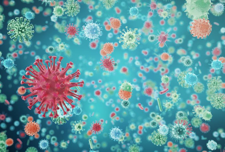 coronavirus