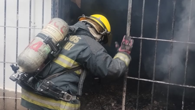 Varias dotaciones de Bomberos trabajaron intensamente para contener las llamas