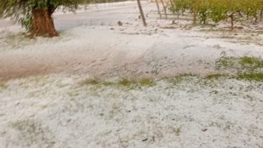 Granizo, lluvias abundantes y suspensión de clases: cómo seguirá el tiempo en Mendoza Granizo, lluvias abundantes y suspensión de clases: cómo seguirá el tiempo en Mendoza