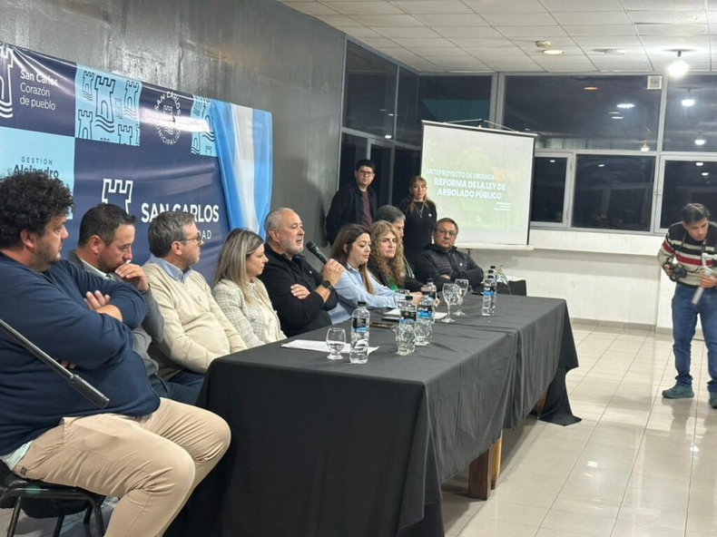 El intendente de San Carlos Alejandro Morillas brindó detalles sobre el relevamiento del arbolado público.