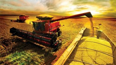 Argentina pasó de ser un país triguero a uno sojero