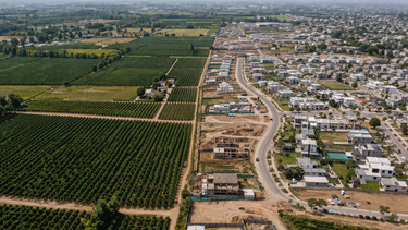 Entre la ciudad y el campo: el avance de la urbanización sobre tierras productivas en Mendoza Entre la ciudad y el campo: el avance de la urbanización sobre tierras productivas en Mendoza