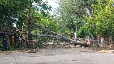 relevamiento tras la intensa tormenta que paso por mendoza