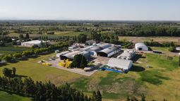 Mendoza sede de la deshidratadora más grande de Argentina