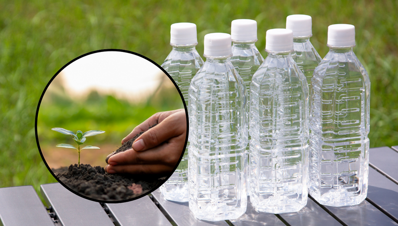 Jardinería: el truco con botellas plásticas que posibilita el riego justo para tus plantas