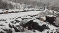 Se registraron varias nevadas en Mendoza este sábado 16 de mayo.