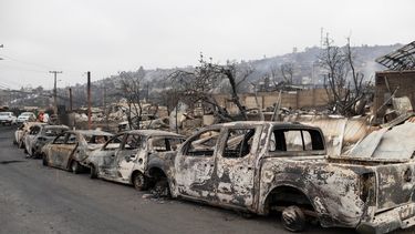 incendios en chile: es una catastrofe inmensa