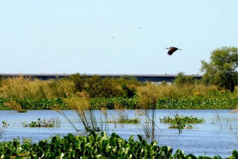 Día Mundial de los Humedales