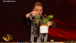 Gran Hermano: quiénes quedaron en la placa planta y el sorpresivo fulminado de la semana