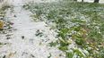 El Gobierno de Mendoza recibió aportes de Nación por la emergencia agropecuaria. El Gobierno de Mendoza recibió aportes de Nación por la emergencia agropecuaria.