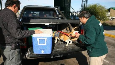 Estrictos controles del ISCAMEN en los ingresos a la provincia de Mendoza. Estrictos controles del ISCAMEN en los ingresos a la provincia de Mendoza.