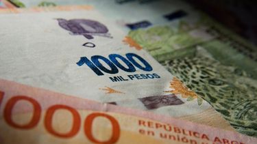 El turno de los estatales: también cobrarán los $4.000, pero desde febrero