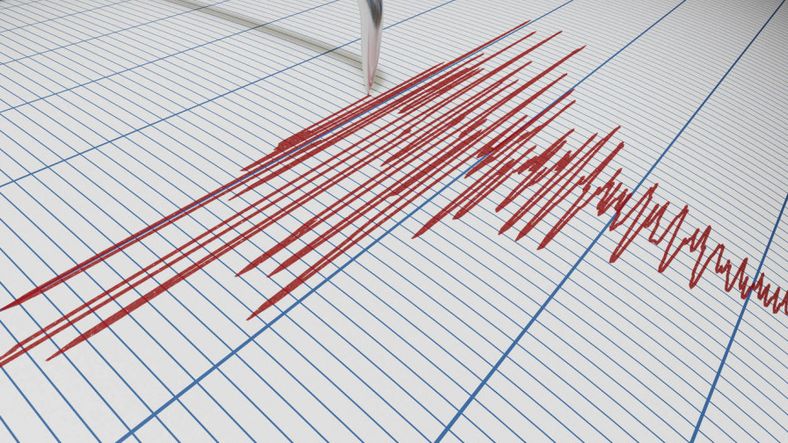 El movimiento telúrico se percibió en algunas zonas de Mendoza