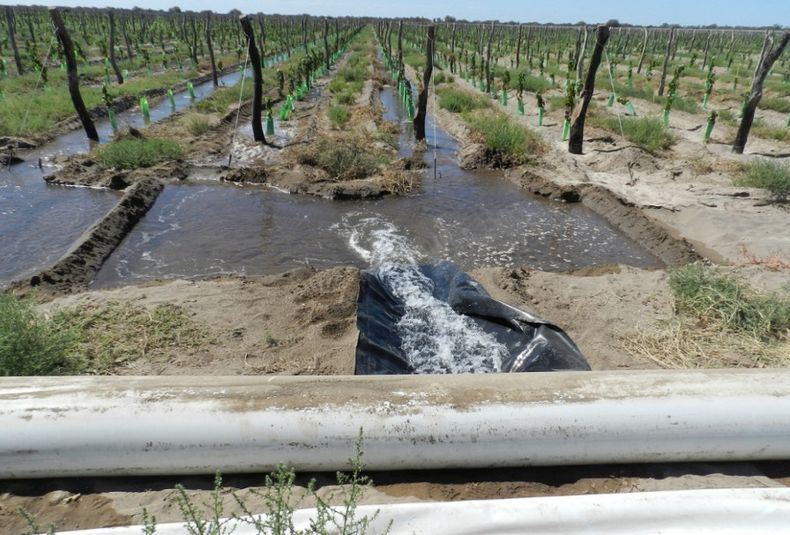 Riego Irrigación recursos hídricos viñedos agua