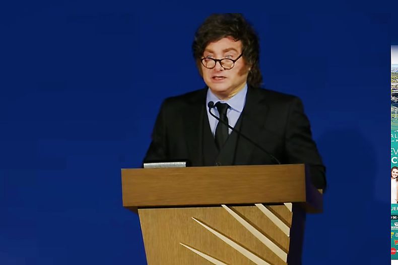 Javier Milei defendió la apertura económica durante su exposición ante empresarios estadounidenses en Washington.