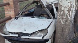 El conductor perdió el control y chocó contra un árbol.