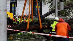 La tormenta Ciarán siembra miedo en Europa: seis muertos hasta el momento.