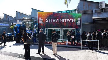 Referentes del vino analizaron cómo superar la crisis de la vitivinicultura, en la Sitevinitech 2026 Referentes del vino analizaron cómo superar la crisis de la vitivinicultura, en la Sitevinitech 2026
