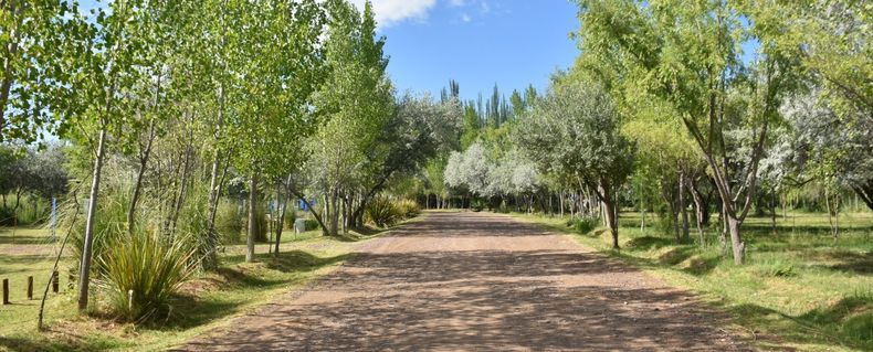Parque Lombardía, en Tunuyán