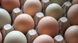 Argentina es el quinto consumidor mundial de huevos