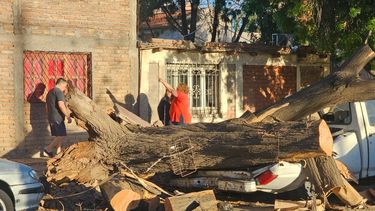 Lavalle y San Rafael entre los departamentos más afectados por el viento Zonda