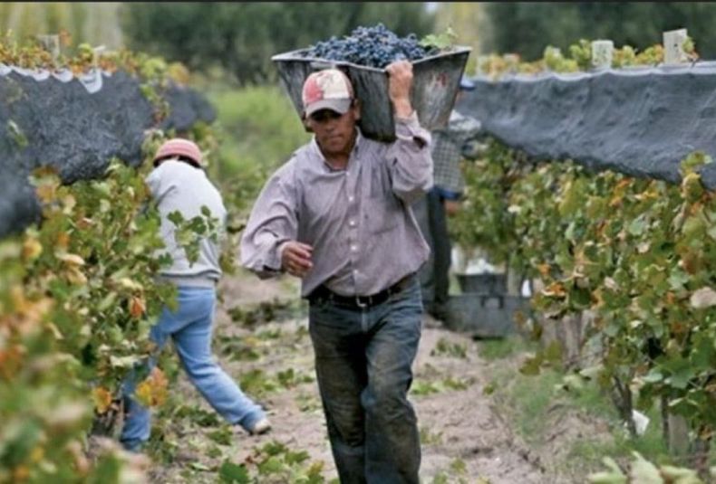 Trabajadores golondrinas
