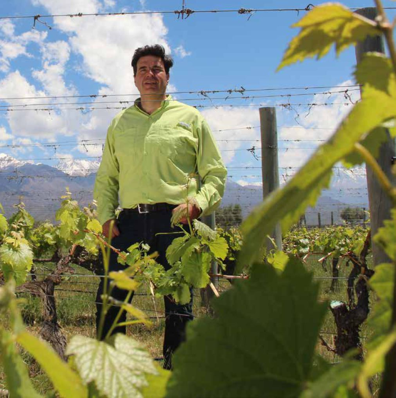 El ingeniero Marcelo Canatella, anticipa las acciones que hay que tomar en los viñedos frente al fenomeno de El Niño.