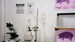 Se efectúan exámenes de esta enfermedad en el laboratorio municipal.