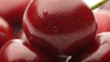Por un virus, solicitan a la Nación prohibir la importación de cereza proveniente de Chile