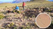 Arqueología sin precedentes en Mendoza: investigarán una estructura que podría ser un geoglifo