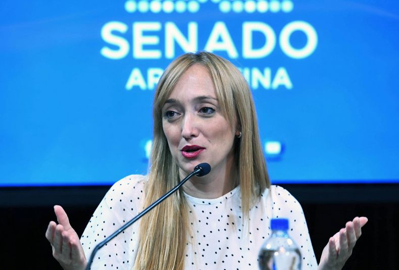 Anabel Fernández Sagasti.