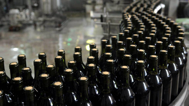 coviar bajo fuego: lo que dejo una semana de tension en el sector vitivinicola