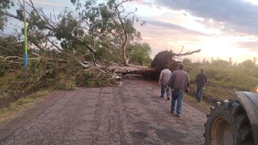 Sitio Andino | tormenta san rafael la paz