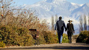 Fin de semana largo: el Valle de Uco espera con cultura, vino y naturaleza