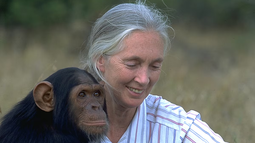 Murió Jane Goodall: la científica que cambió la forma de entender a los animales