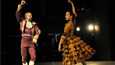 Sitio Andino | Apertura muestra Goya